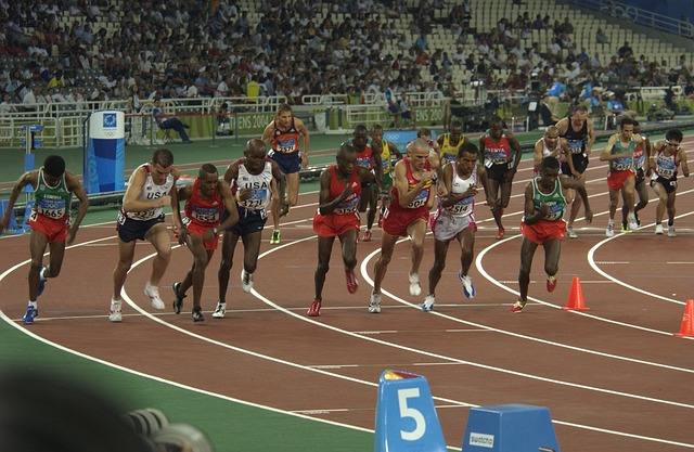 Japanisch Dolmetscher und Übersetzer für die Sportindustrie