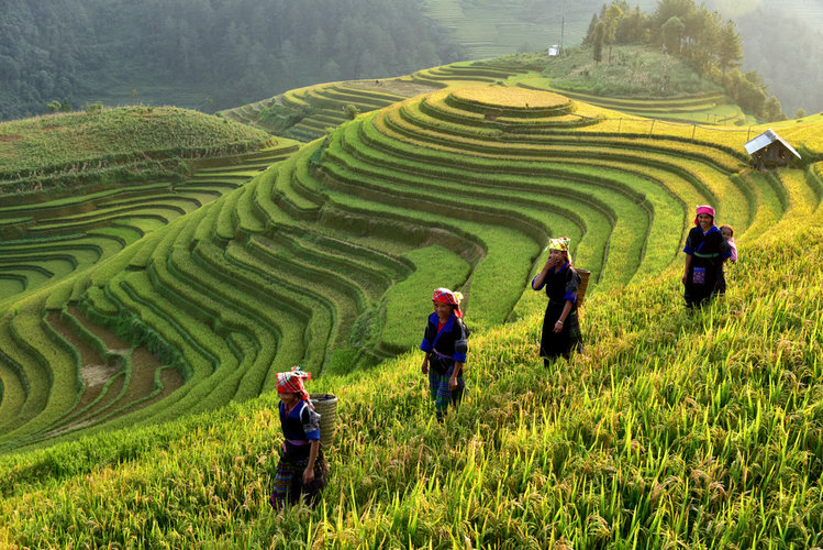 Chinese interpreter & translator for the agriculture industry